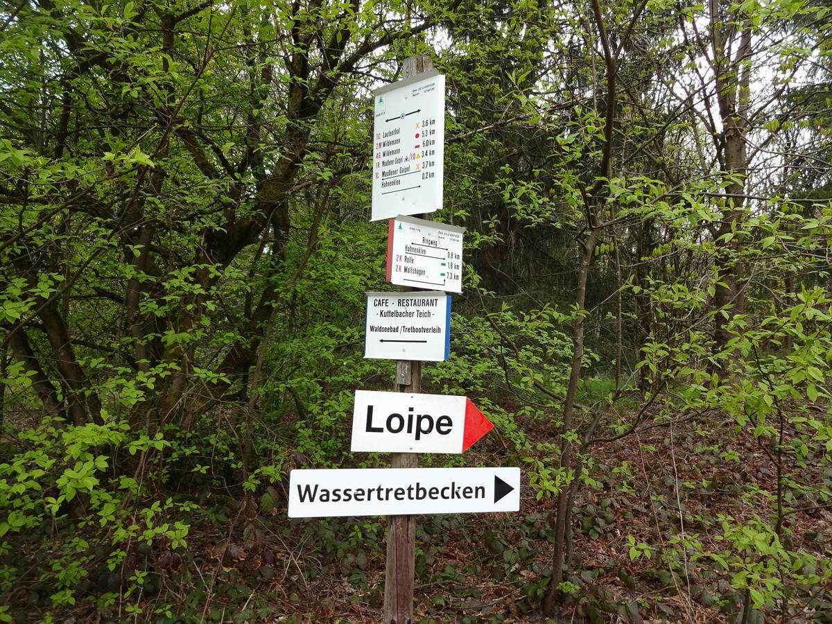 Henne Hahnenklee Lägenhet Goslar Exteriör bild