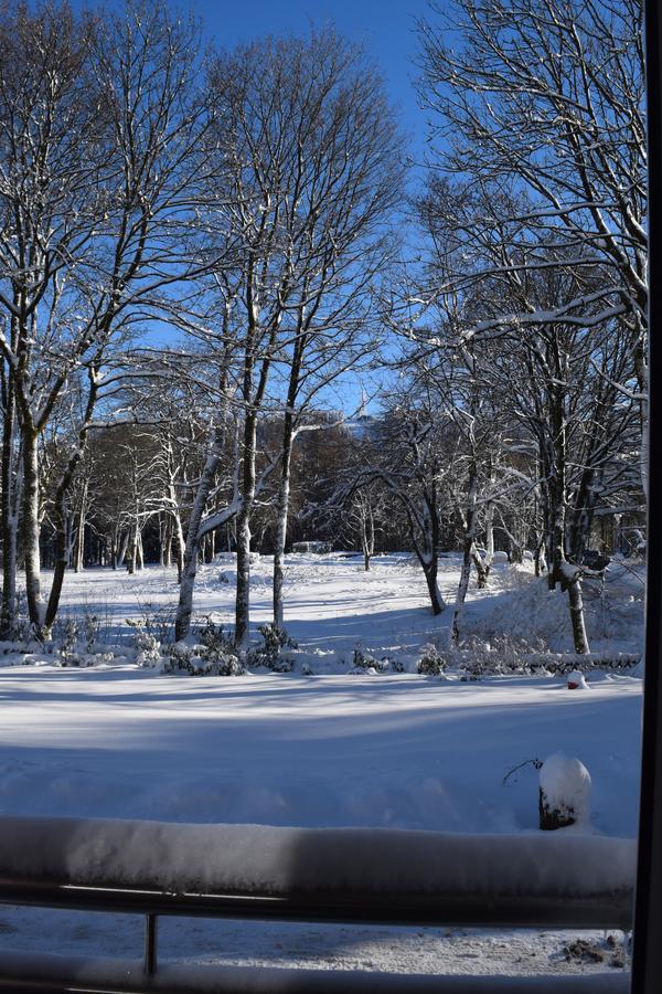 Henne Hahnenklee Lägenhet Goslar Exteriör bild